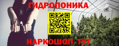 шишки Боровичи