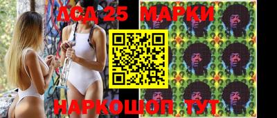шишки Боровичи