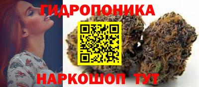 хмурый Брянск