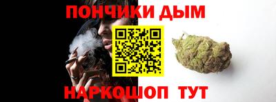 шишки Боровичи