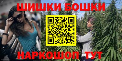 шишки Боровичи